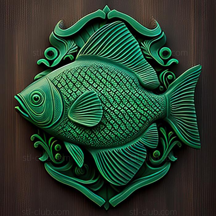 st Green puntius fish